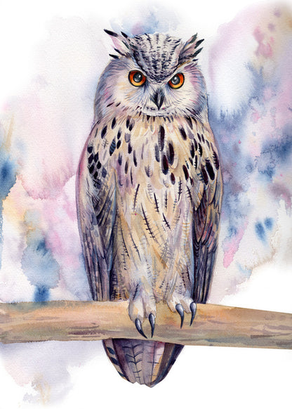 Birds