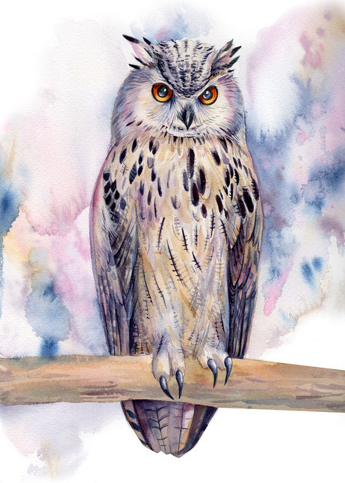 Birds