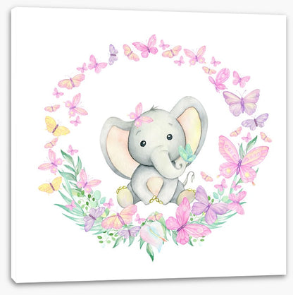 Baby elephant butterflies 1