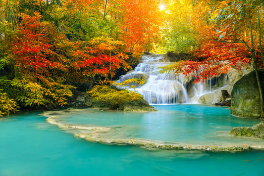 Autumn forest falls