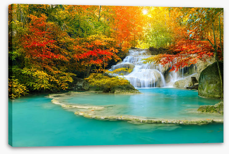Autumn forest falls