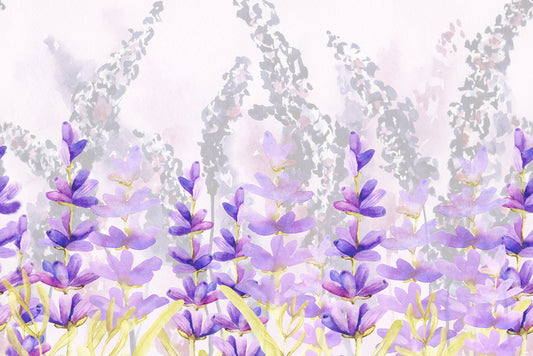 Lovely lavender