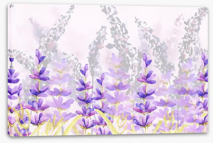 Lovely lavender