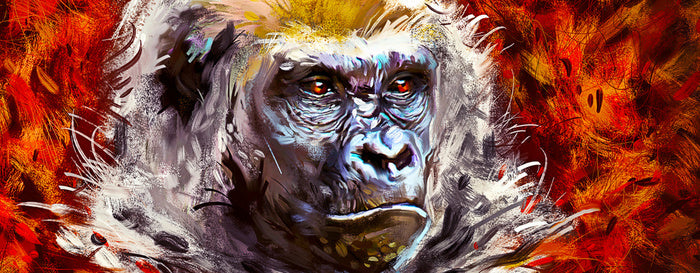Gorilla gaze