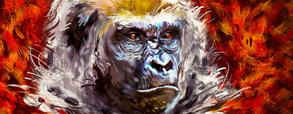 Gorilla gaze