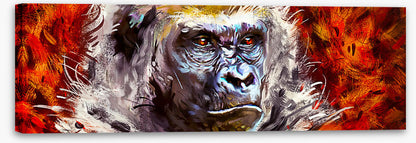 Gorilla gaze