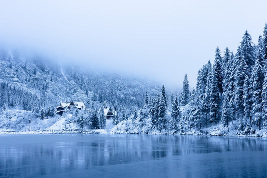 Peeking through winter