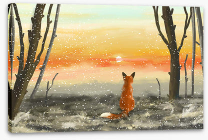 Golden sunset fox