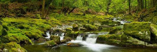 Green rock river