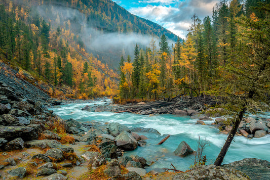 Racing rapids