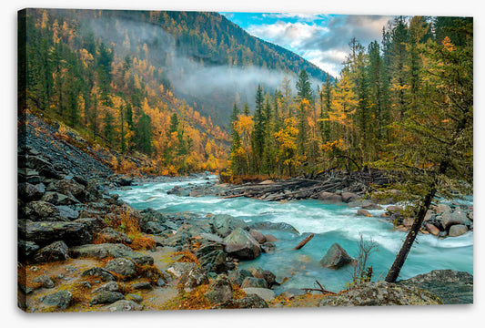 Racing rapids