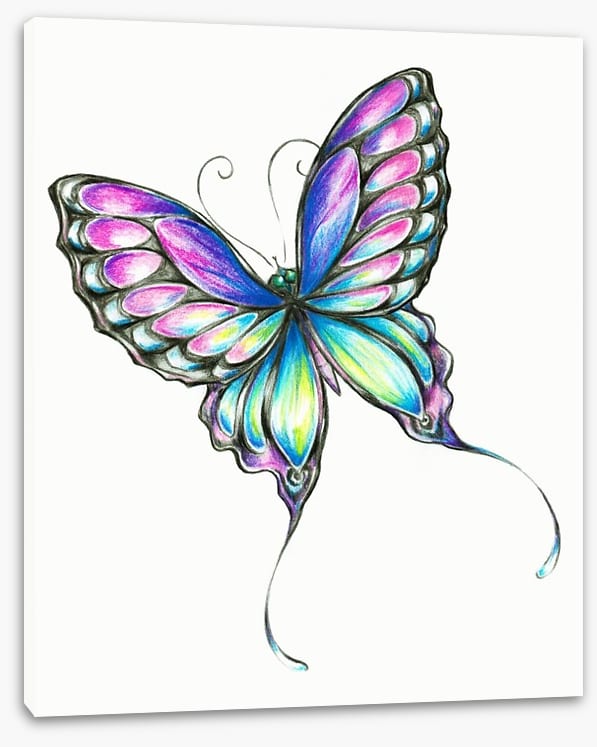 Butterflies