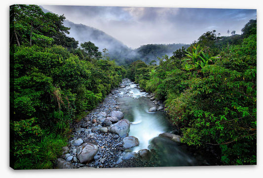 South America