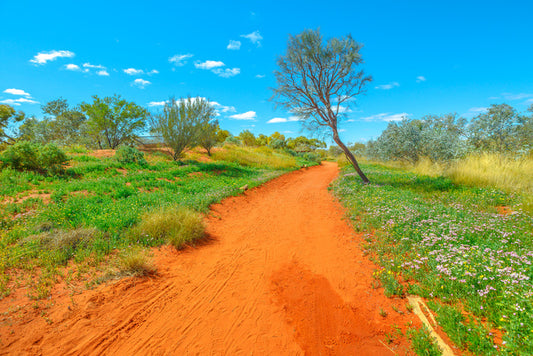 Red earth spring