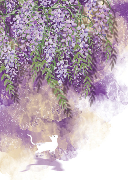White cat wisteria