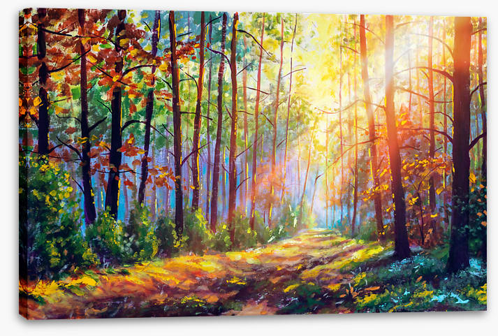 The Sunshine Path | Stretched Canvas – Wall Art Prints