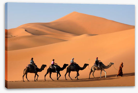 Camel convoy