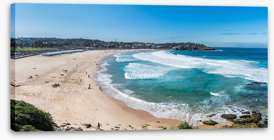 Bondi bay blues
