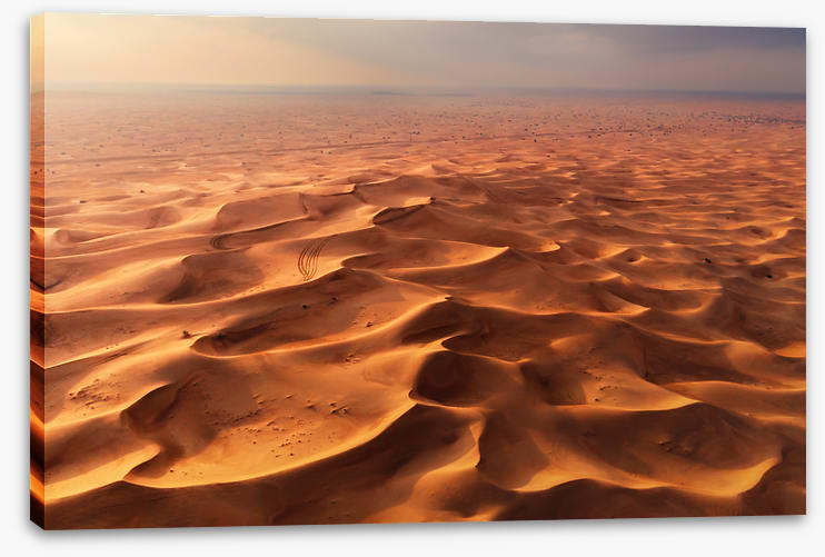 Desert