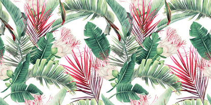 Fuchsia foliage