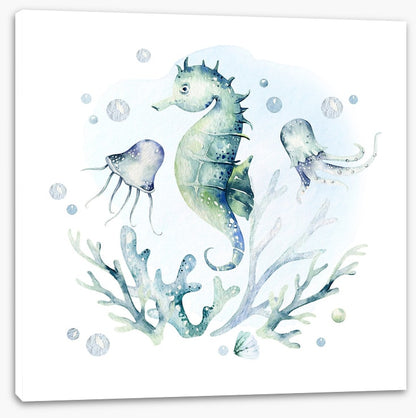Softly softly seahorse