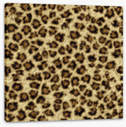 Animal Print