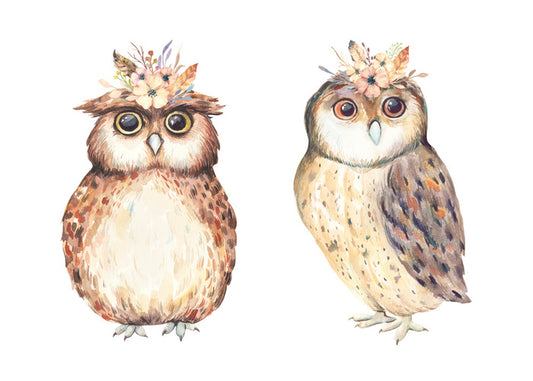 Owls
