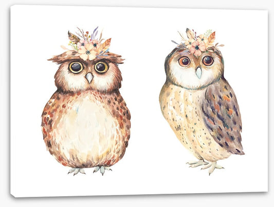 Owls