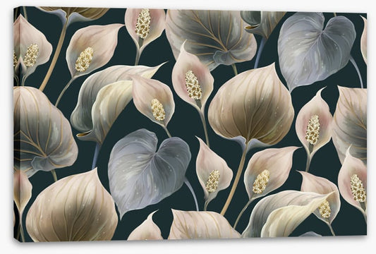 Calla lily moonlight