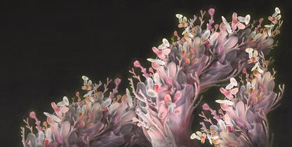 Coral me pink