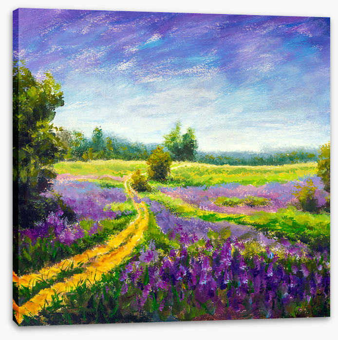 Purple meadow path