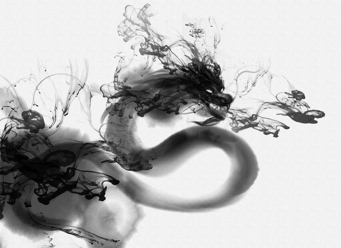 Shadow dragon