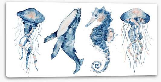 Sea life blush