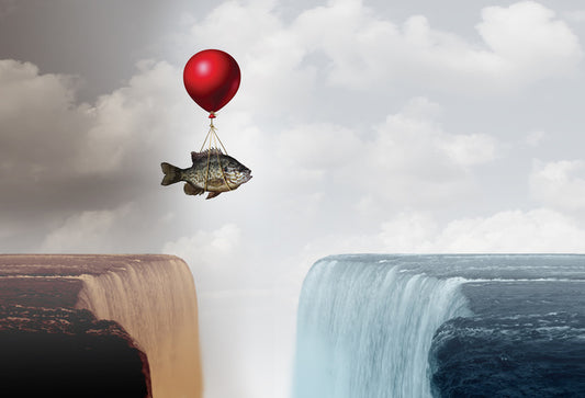 Overcoming adversity