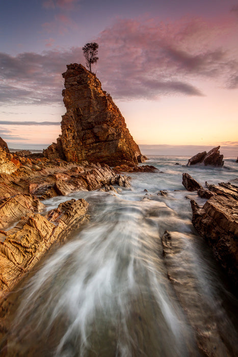 Seastack tree tide