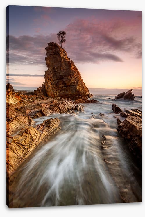 Seastack tree tide