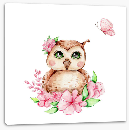 Owls