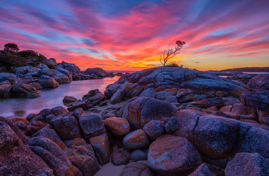 Binalong Bay sunrise