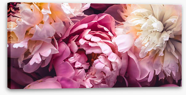 Love blooms 2