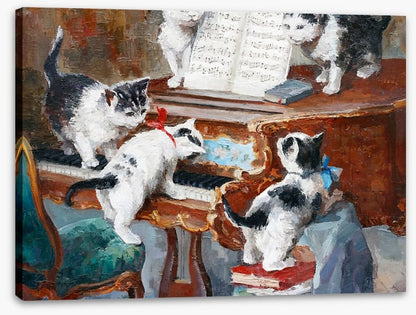 Piano play time