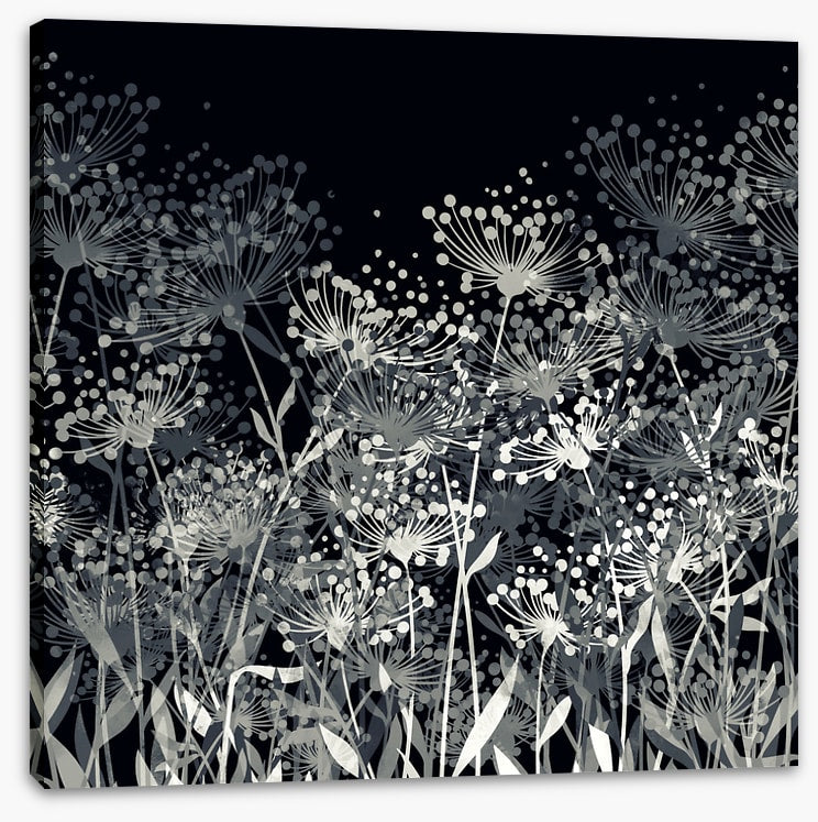 Black and White
