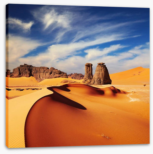 Shapes of the Sahara