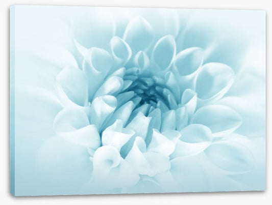 Soft bloom