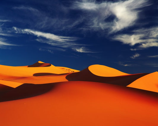 Desert