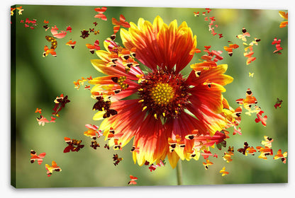 Spring wings