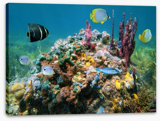 Underwater