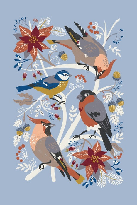 Birds