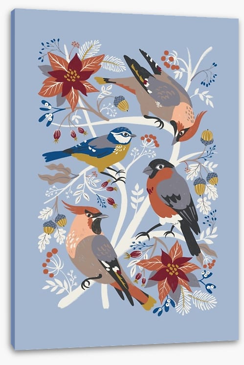 Birds
