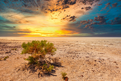 Salt lake sunset