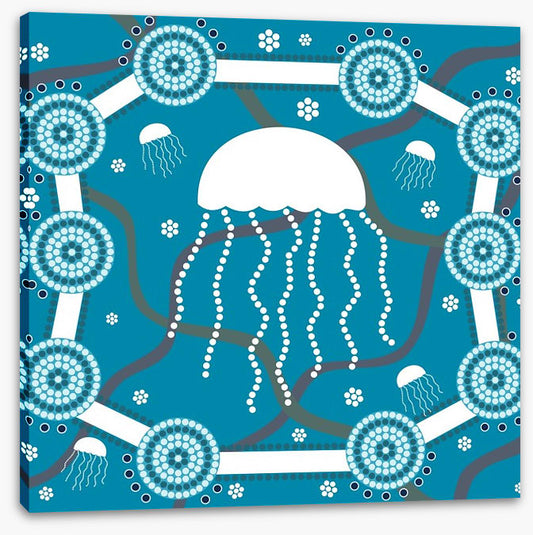 Jellyfish waters